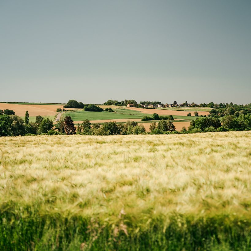 Domaine sur les Sarts